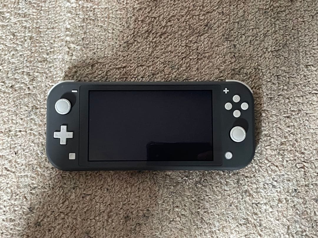Nintendo Switch lite 美品 【付属充電器欠品】