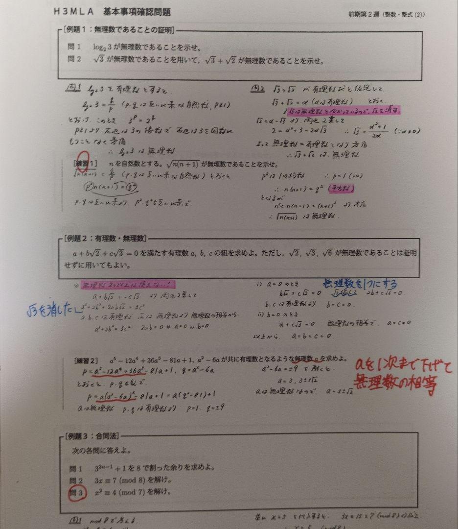 鉄緑会 文系数学 鶴田先生 授業プリント 全19枚
