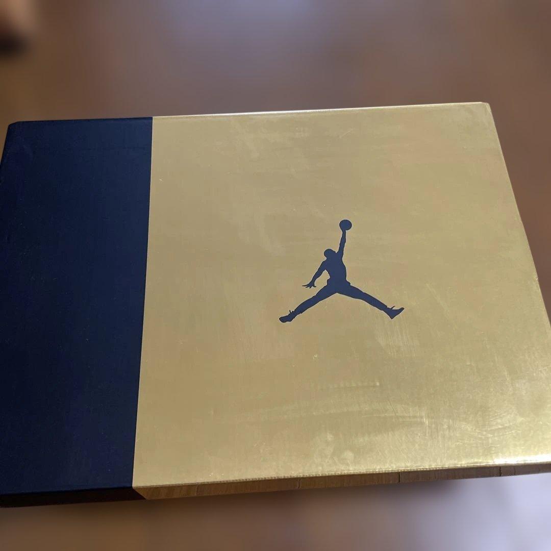 NIKE AIR JORDAN 6 RETRO DMP ハイカットスニーカ28