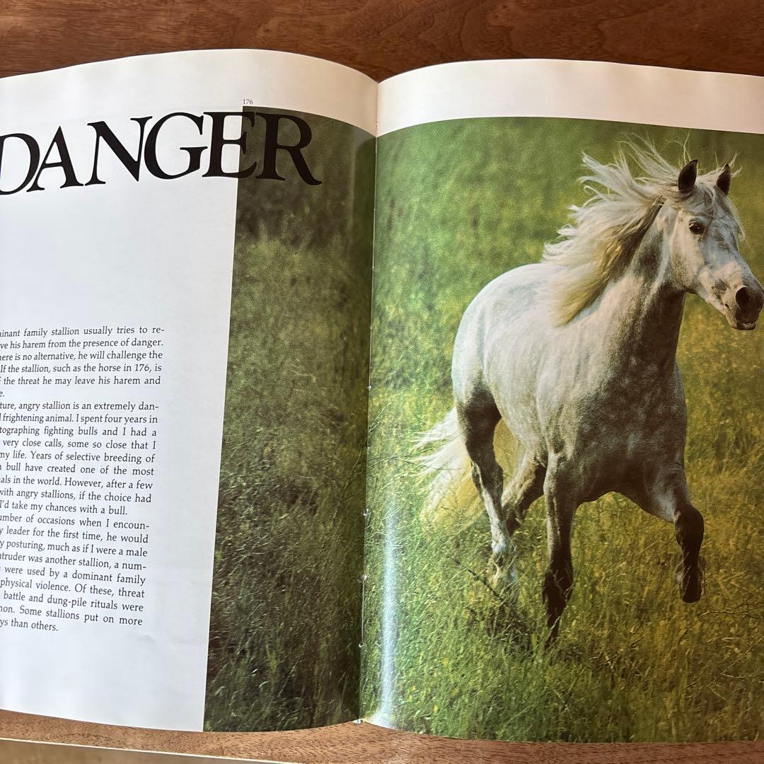 洋書 Such Is the Real Nature of Horses