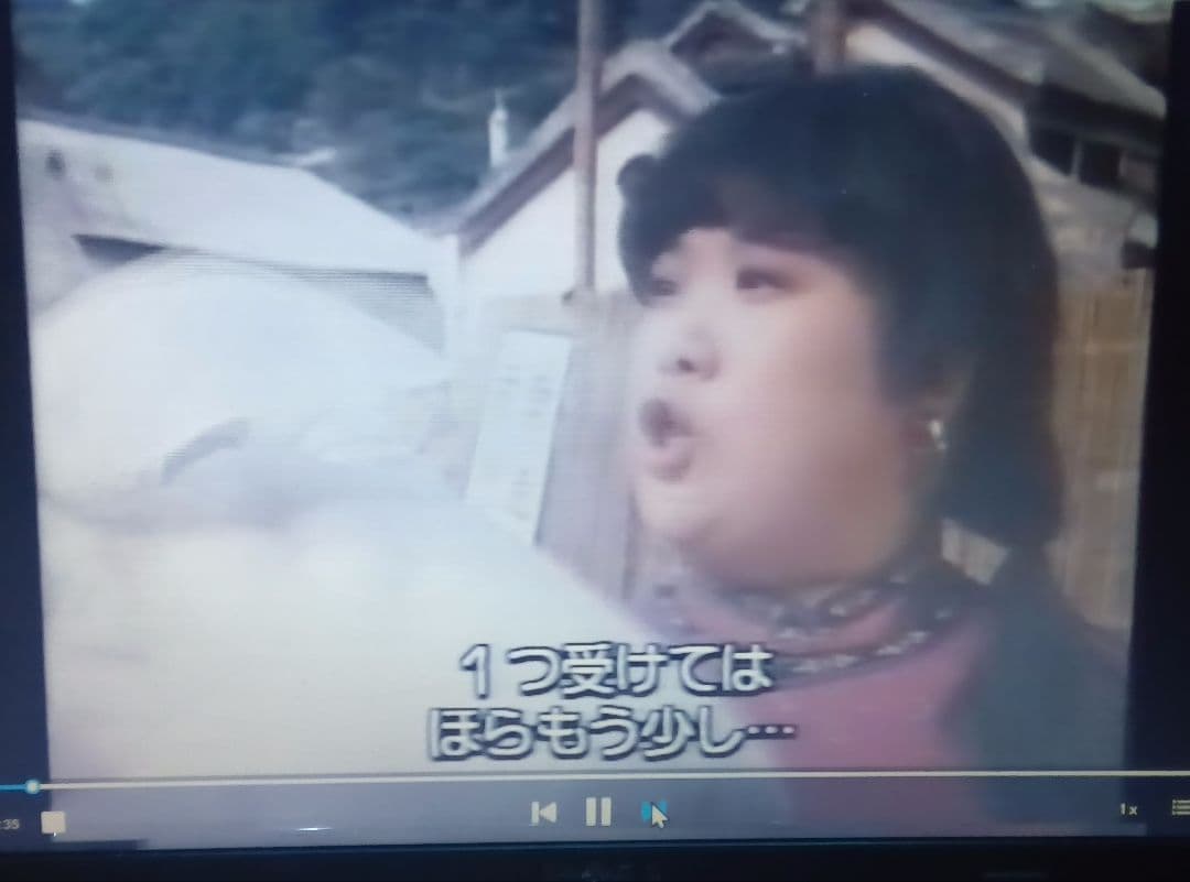 ドラゴン酔太極拳 特別版 DVD3枚組 女デブゴン強烈無敵の体潰し 日本視聴可能