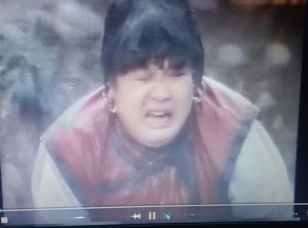 ドラゴン酔太極拳 特別版 DVD3枚組 女デブゴン強烈無敵の体潰し 日本視聴可能